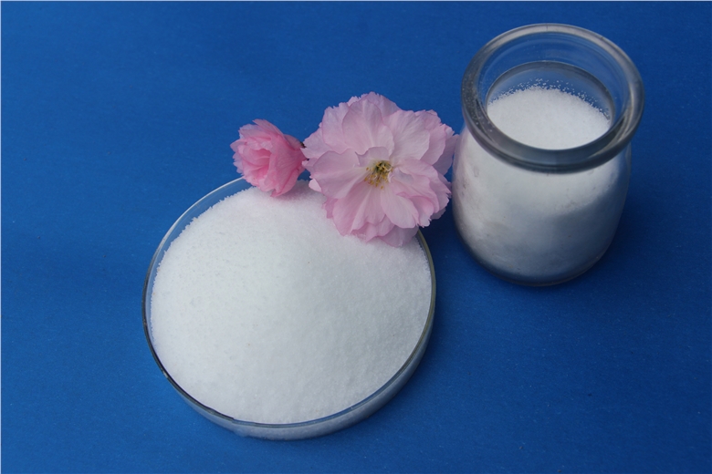 鸿畅聚丙烯酰胺